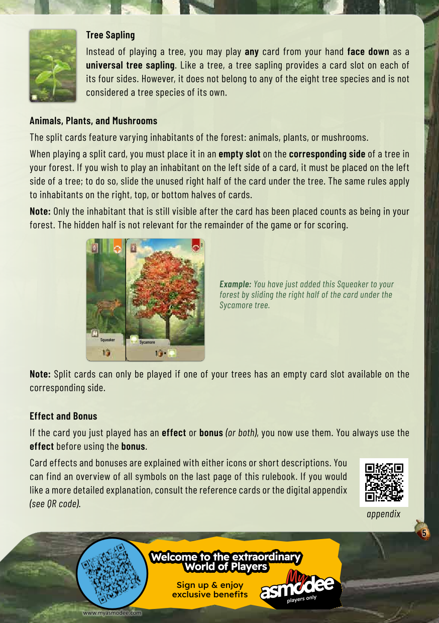 Rulebook page 5