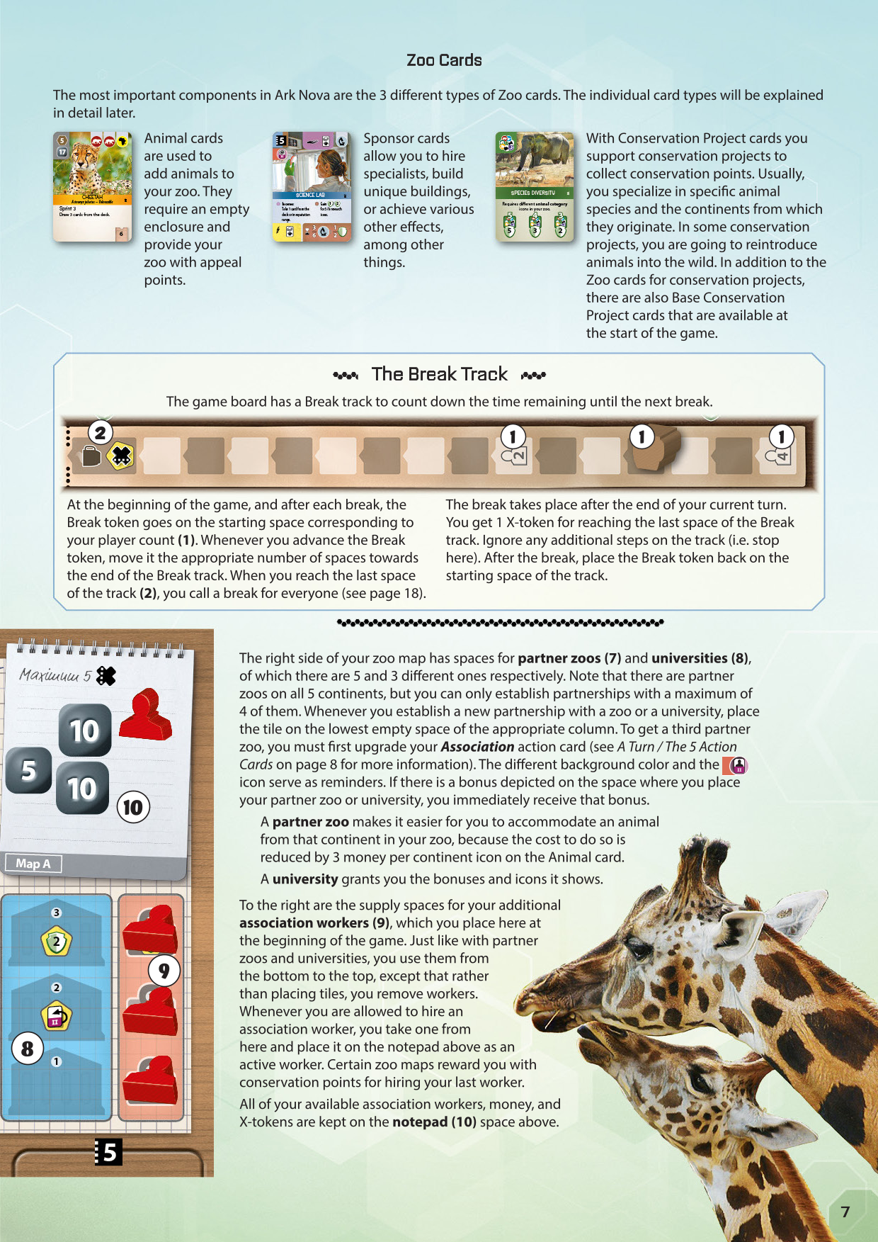 Rulebook page 7
