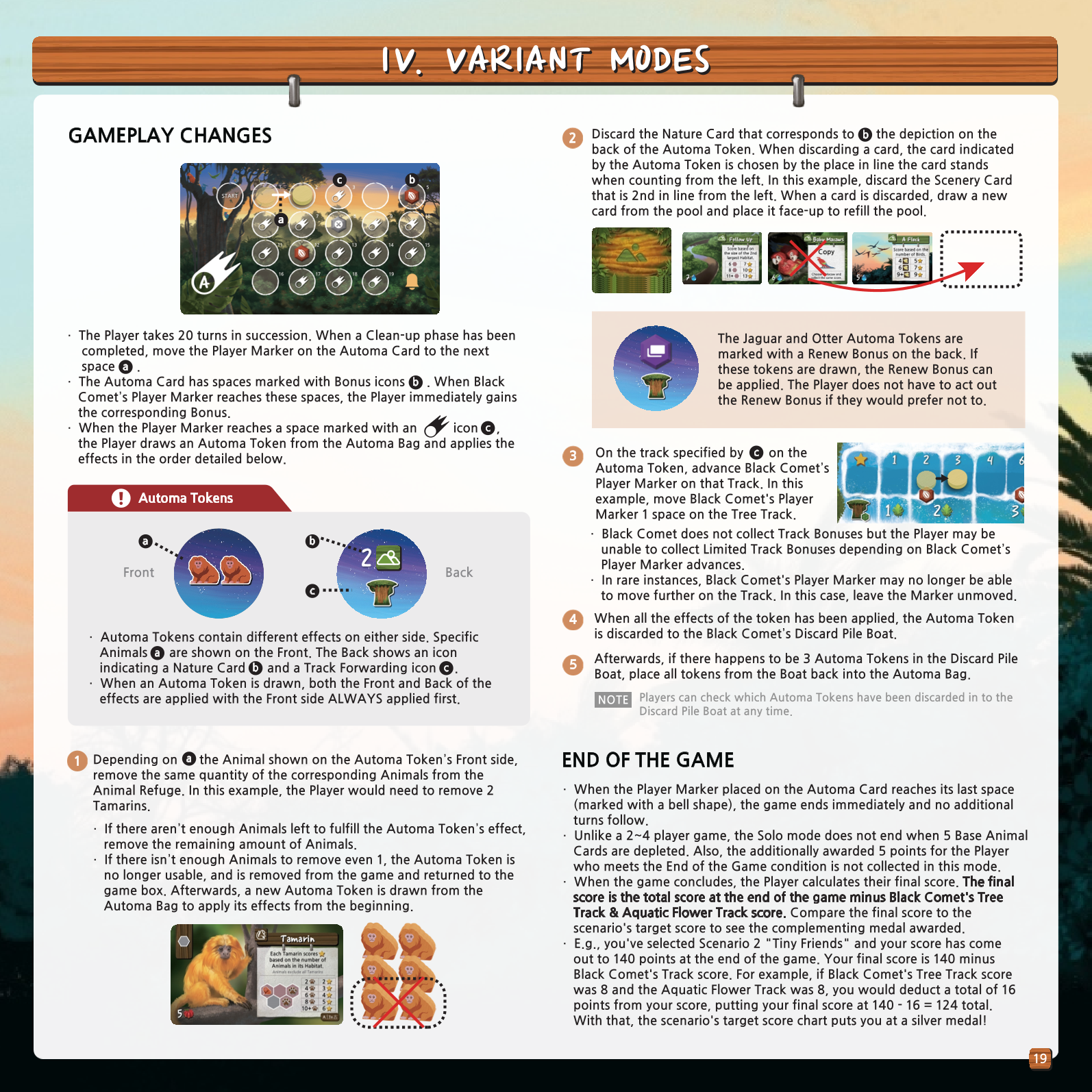 Rulebook page 19
