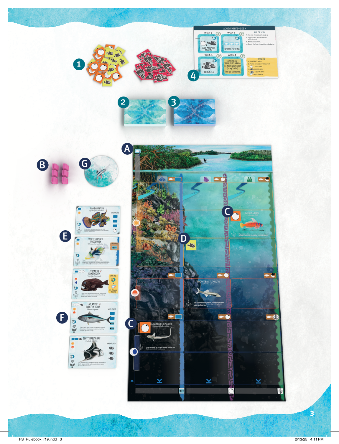 Rulebook page 3