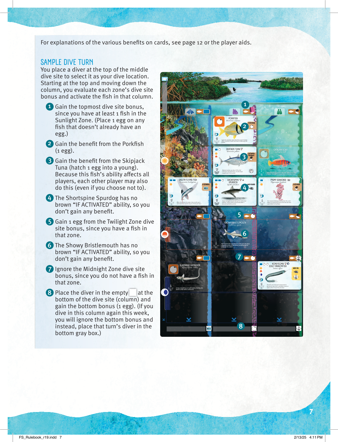 Rulebook page 7