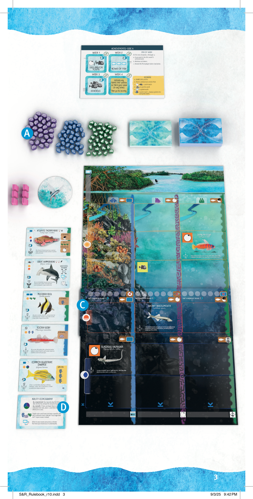 Rulebook page 3