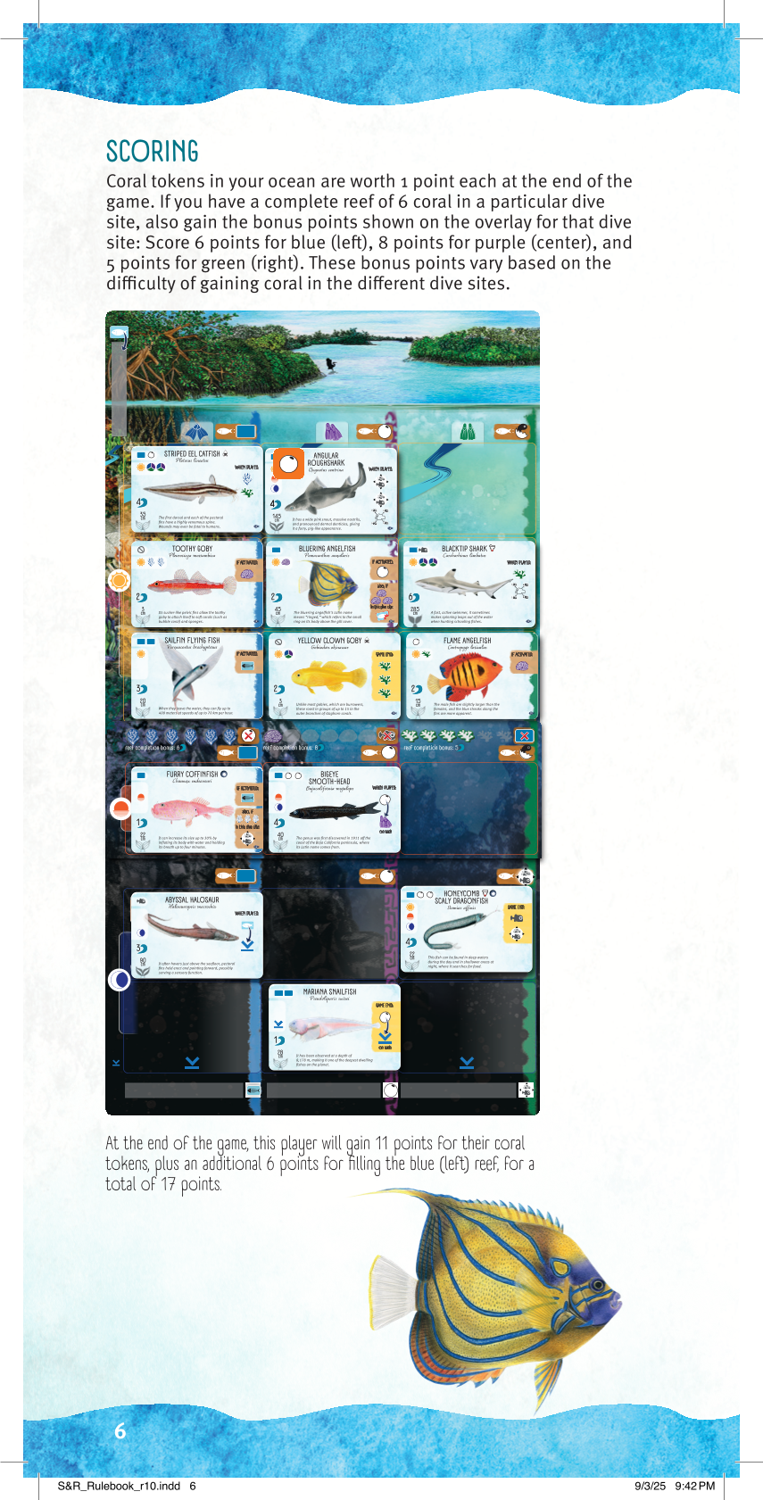 Rulebook page 6