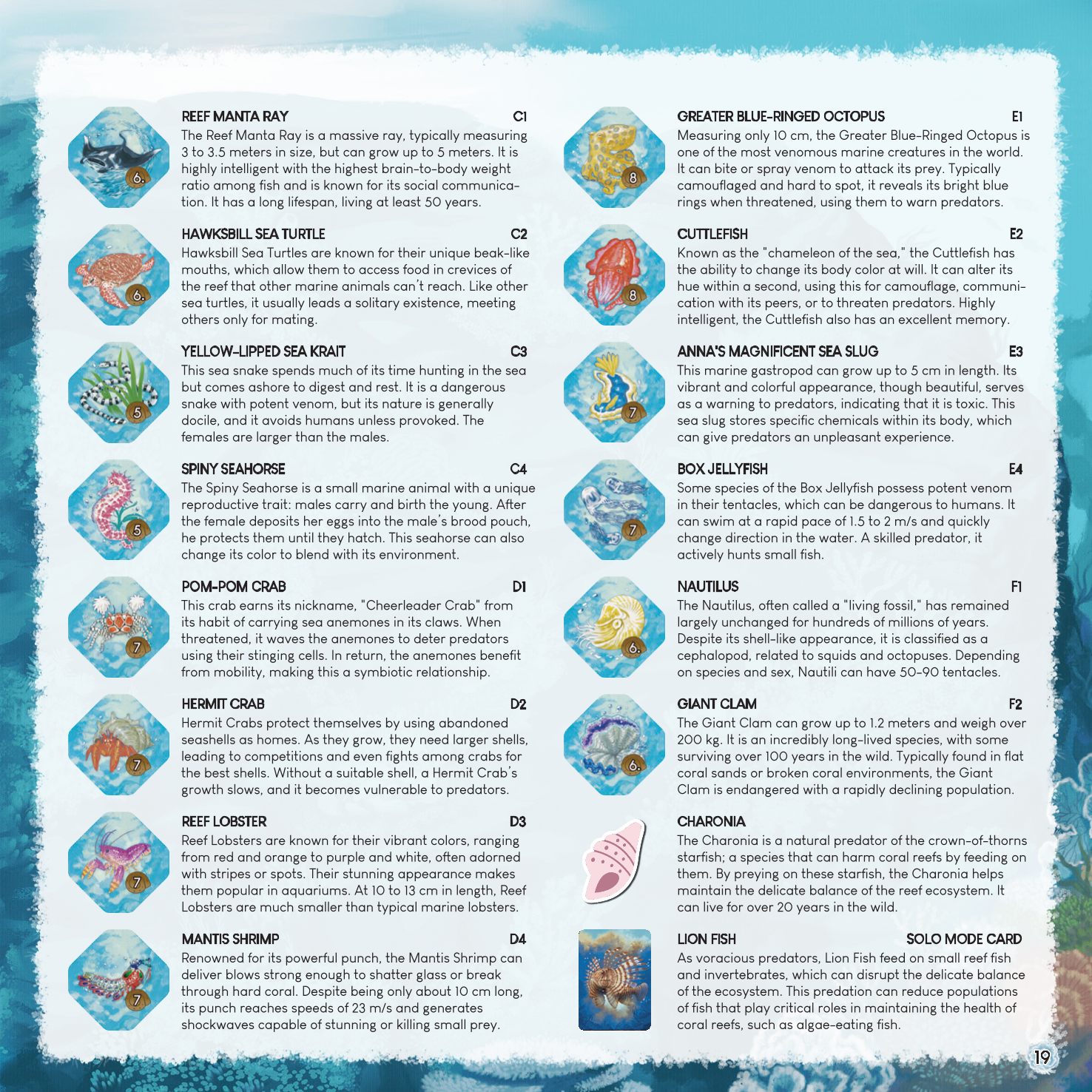 Rulebook page 19