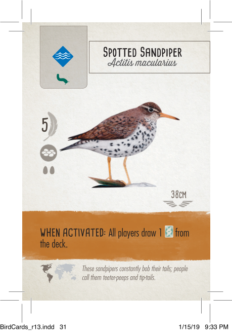 Rulebook page 1