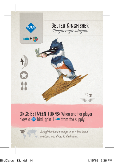 Rulebook page 17