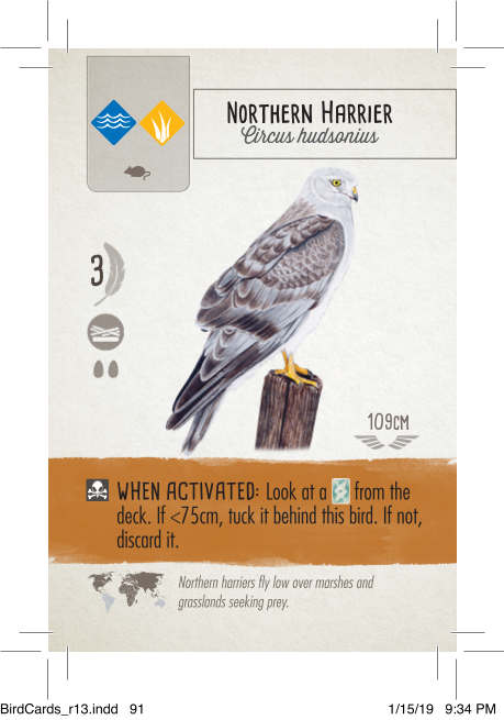 Rulebook page 3